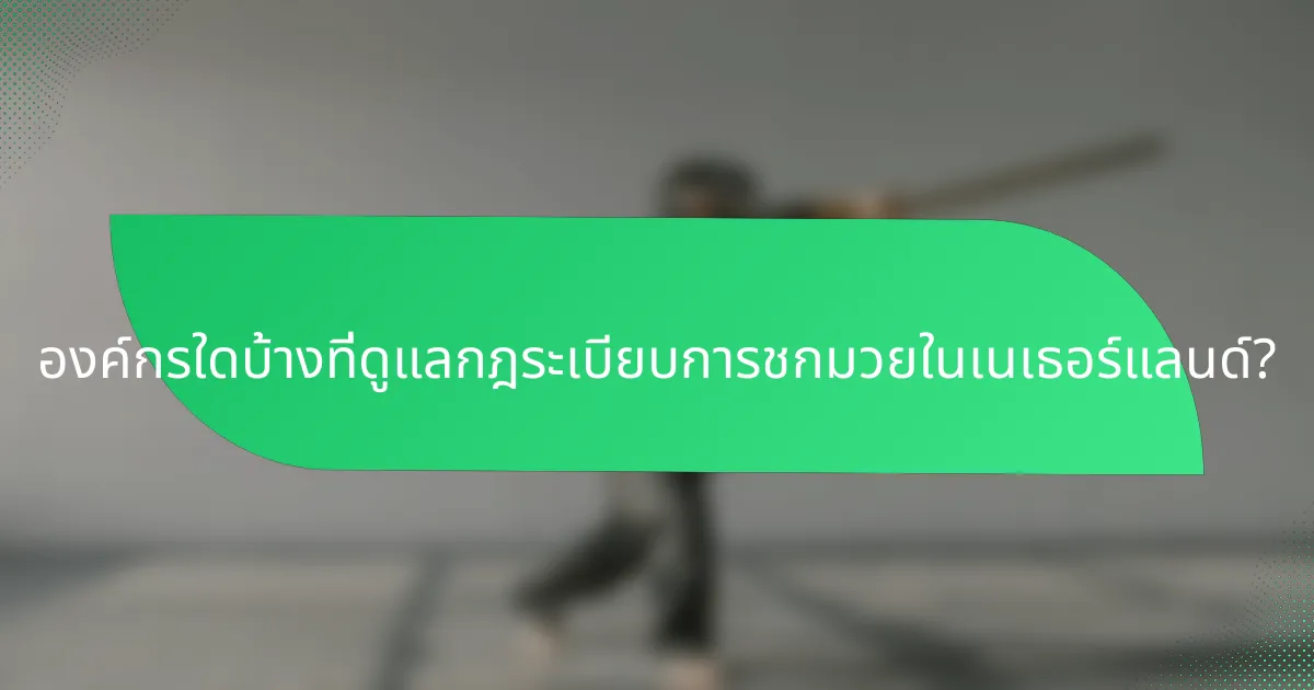 องค์กรใดบ้างที่ดูแลกฎระเบียบการชกมวยในเนเธอร์แลนด์?