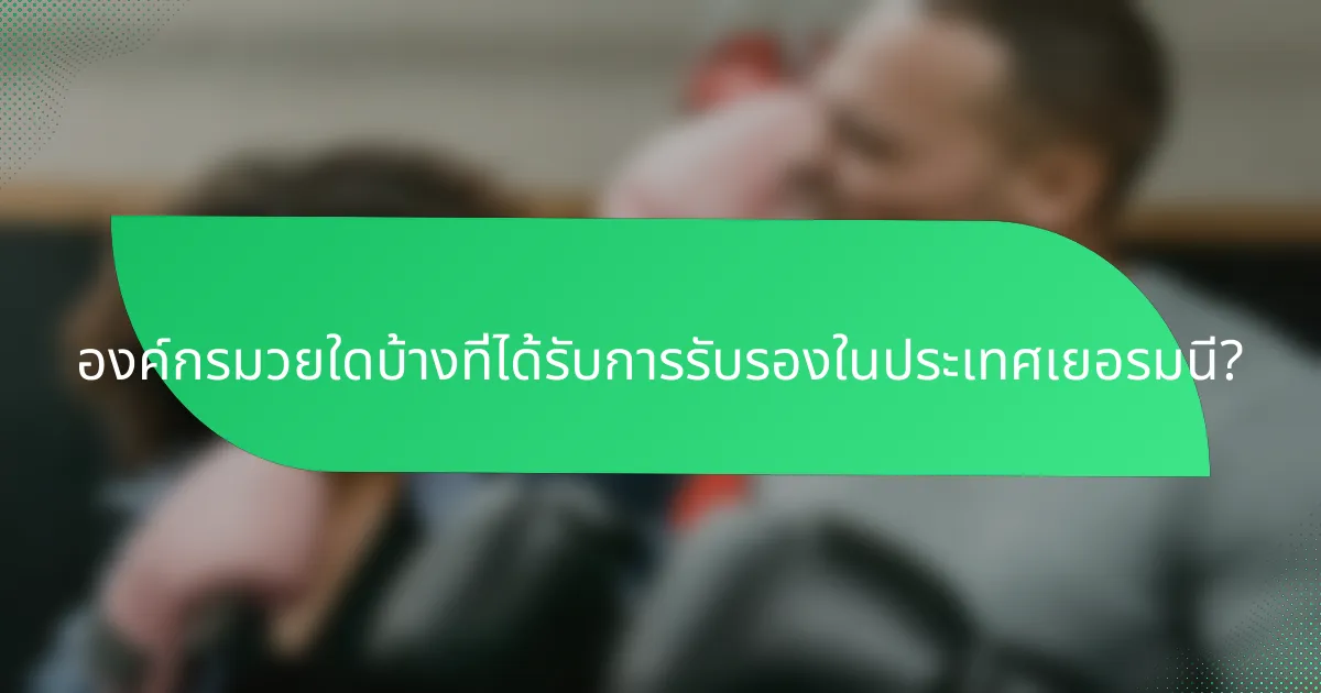 องค์กรมวยใดบ้างที่ได้รับการรับรองในประเทศเยอรมนี?