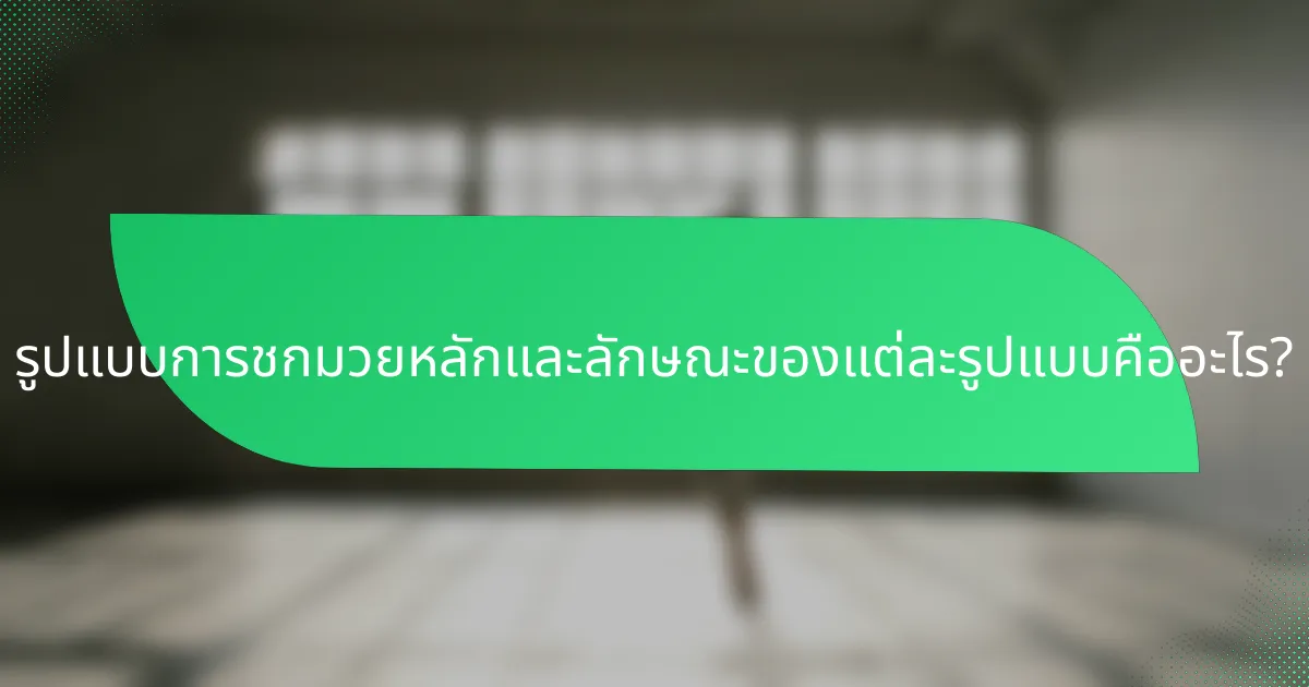 รูปแบบการชกมวยหลักและลักษณะของแต่ละรูปแบบคืออะไร?